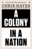 Chris Hayes - A Colony in a Nation
