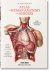 Atlas of human anatomy and ...