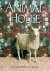 Catherine Ledner - Animal House