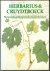 Blunt, Wilfrid, Raphael, Sandra - Herbarius  cruydtboeck : beroemde geïllustreerde plantenboeken
