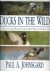 Johnsgard, Paul A. - Ducks in the Wild