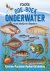 Roebers, Geert-Jan - Doe-boek onderwater