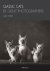 classic Cats by Great Photo...