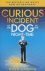 The Curious Incident of the...