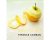 Sir Terence Conran - Easy Living