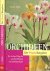 Orchideen Der Praxis Ratgeb...