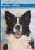 J. Hannes, J. Hannes - De Border Collie / Over Dieren / 070