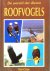 ROOFVOGELS - De Wereld der ...