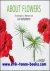 Lut Verkinderen - About Flowers, Floral designs by/Bloemwerk van Lut Verkinderen