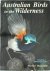 Australian Birds in the Wil...