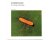 W.P.M. Hoekstra - Microbiologie