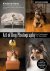  - Art of Dog Photography