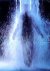 Bill Viola