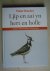 Breuker, Pieter - Ljip en aai yn hert en holle / aaisykjen as folkssport, fêstlein yn wurden en bylden