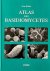 KELLER, JEAN. - Atlas Des Basidiomycetes. Vus Aux Microscopes Electroniques.