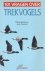 101 vragen over trekvogels