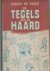 De tegels van de haard