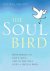 Michal Snunit - The Soul Bird