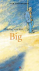 BIG - 3 CD Luisterboek