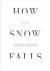 Craig Raine - How Snow Falls