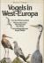 Hammond, Nicholas / Everett, Michael / Rook, Ruud - Vogels in West-Europa