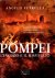 Petrella, Angelo - POMPEI L'Incubo e il Risveglio