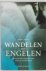 REILLY, C. - Wandelen met engelen