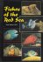 Fishes of the Red Sea