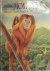 Amazing Monkeys