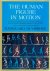 MUYBRIDGE, Eadward - Eadward Muybridge - The human figure in motion.