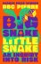 DBC Prize-winner - Big Snake Little Snake