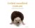 S Johns - Knitted Woodland Creatures
