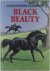 Black Beauty
