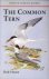 HUME, ROB - The common tern