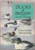 Ducks of Britain and the no...