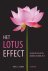 Pavel Somov - Het lotuseffect