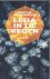 (1) Leda In De Regen