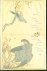 Utamaro Kitagawa 1753?-1806., Julia Meech, James T Kenney, Jūzaburō Tsutaya 1748-1797. - Utamaro : a chorus of birds