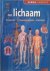 Het lichaam. Organen ? Lich...