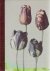 BLOK, Leendert - Gilles CLÉMENT [Text] - Leendert Blok - Silent Beauties - Photographs from the 1920s.