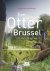 Een otter in Brussel