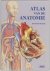 A. Smink - Atlas Van De Anatomie