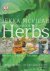 Mcvicar,Jekka - New book of Herbs