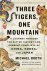 Three Tigers, One Mountain ...
