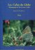 VERHULST, Joseph T. - Les Colias du Globe / Monograph of the Genus Colias - Texte - Text + Planches - Plates. - [Two-volume set].
