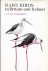 Rare Birds in Britain and I...