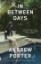 Andrew Porter - In Between Days