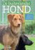 Marleen Baal; Suze Steenbergen - De buitenlandse hond