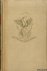 Flaubert, Gustave  Désiré Acket (verlucht met houtgravures van) - Madame Bovary