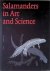 Salamanders in art and science